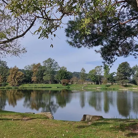 Chalet Seeruhe - Mobilheim *